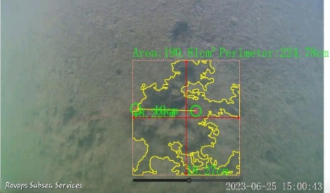 gallery grid image